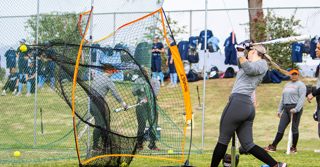 The Softball Starter Pack - Everything You Need to Train Like a Pro